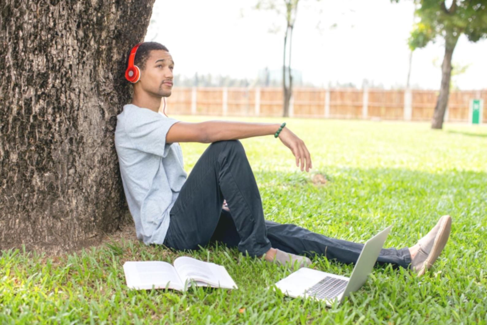 Professional office environment in Frenchs Forest business district